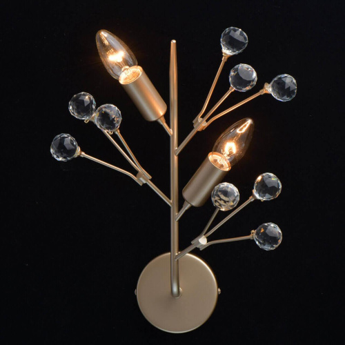 Бра MW-Light Адриатика 280021902 Бра MW-Light Адриатика 280021902
