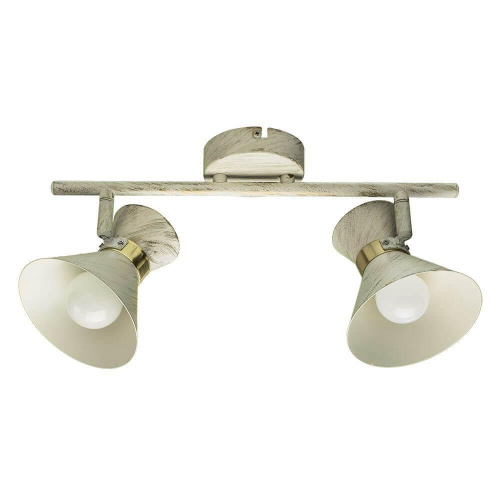 Спот Arte Lamp Baltimore A1406AP-2WG Спот Arte Lamp Baltimore A1406AP-2WG