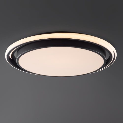 Потолочный светодиодный светильник Freya Lisoa FR10031CL-L98B Потолочный светодиодный светильник Freya Lisoa FR10031CL-L98B