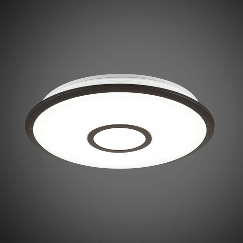Потолочный светодиодный светильник Citilux Старлайт Смарт CL703A45G Потолочный светодиодный светильник Citilux Старлайт Смарт CL703A45G