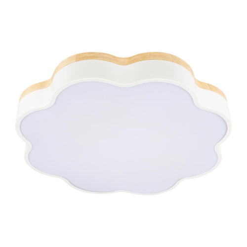 Потолочный светодиодный светильник Loft IT Axel 10225/36 White Потолочный светодиодный светильник Loft IT Axel 10225/36 White