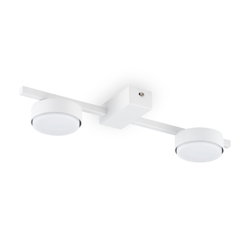 Потолочный светильник Freya FR5363CL-02W Потолочный светильник Freya FR5363CL-02W