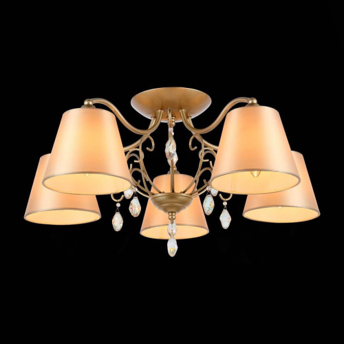 Потолочная люстра Evoluce Rimonio SL1135.102.05 Потолочная люстра Evoluce Rimonio SL1135.102.05