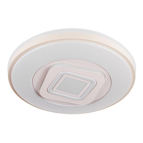 Потолочный светодиодный светильник Escada 10258/S LED Потолочный светодиодный светильник Escada 10258/S LED