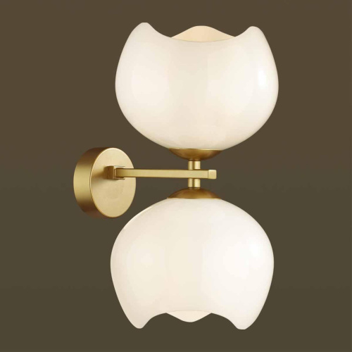 Бра Odeon Light Modern Waterlily 4873/2W Бра Odeon Light Modern Waterlily 4873/2W