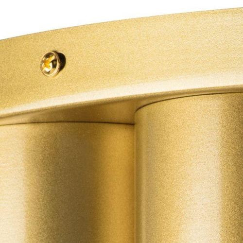 Потолочная люстра Lightstar Siena 720222 Потолочная люстра Lightstar Siena 720222