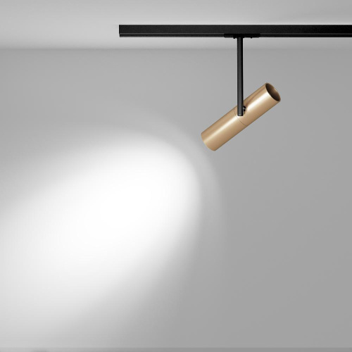 Трековый светильник Maytoni Track Lamps TR005-1-GU10-BG Трековый светильник Maytoni Track Lamps TR005-1-GU10-BG