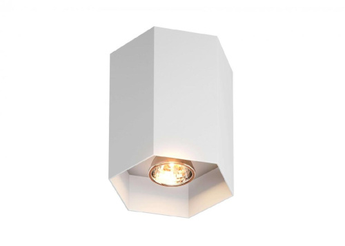 Потолочный светильник Zumaline Polygon cl 1l 20067-WH Потолочный светильник Zumaline Polygon cl 1l 20067-WH