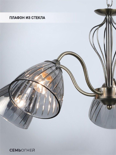 Подвесная люстра Seven Fires Savena WD3625/5H-AB-SMK Подвесная люстра Seven Fires Savena WD3625/5H-AB-SMK