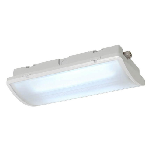 Потолочный светодиодный светильник SLV P-Light 38 240004 Потолочный светодиодный светильник SLV P-Light 38 240004
