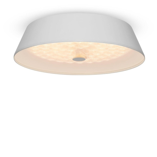 Потолочный светодиодный светильник Freya Cells FR10013CL-L24W Потолочный светодиодный светильник Freya Cells FR10013CL-L24W