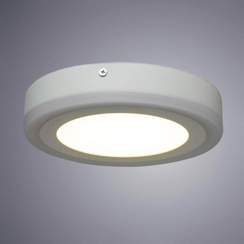 Потолочный светодиодный светильник Arte Lamp Antares A7816PL-2WH Потолочный светодиодный светильник Arte Lamp Antares A7816PL-2WH
