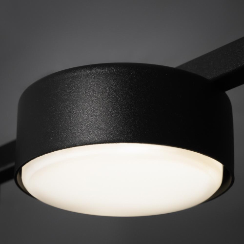 Потолочный светильник Freya FR5363CL-02B Потолочный светильник Freya FR5363CL-02B