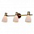 Спот Toplight Sharyl TL3720Y-03BB