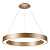 Подвесной светодиодный светильник Milosh Tendence 0688CL-60GD