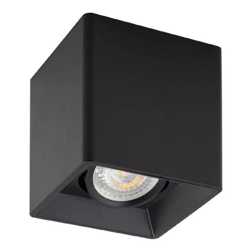 Потолочный светильник Denkirs DK3030-BK Потолочный светильник Denkirs DK3030-BK