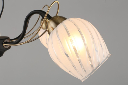 Потолочная люстра Omnilux Garda OML-65507-05 Потолочная люстра Omnilux Garda OML-65507-05