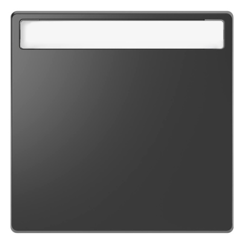 Клавиша одинарная Schneider Electric Merten D-Life MTN3360-6034 Клавиша одинарная Schneider Electric Merten D-Life MTN3360-6034