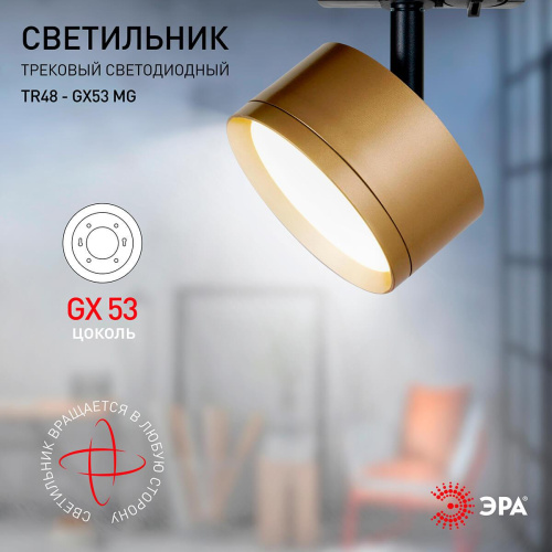 Трековый однофазный светильник ЭРА TR48 - GX53 MG Б0054160 Трековый однофазный светильник ЭРА TR48 - GX53 MG Б0054160