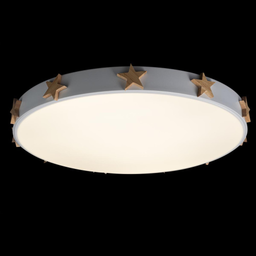 Потолочный светодиодный светильник Loft IT Axel 10006/36 white Потолочный светодиодный светильник Loft IT Axel 10006/36 white
