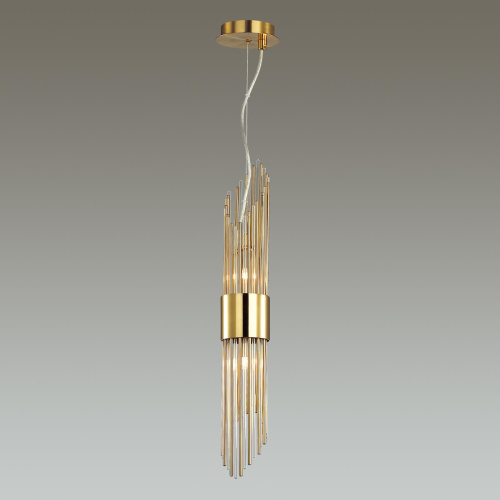 Подвесной светильник Odeon Light Flambi 4847/2 Подвесной светильник Odeon Light Flambi 4847/2