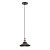 Подвесной светильник ЭРА Loft PL4 BK/RC Б0037438