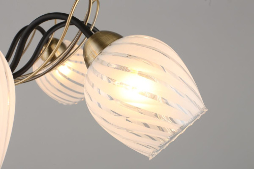 Потолочная люстра Omnilux Garda OML-65507-08 Потолочная люстра Omnilux Garda OML-65507-08