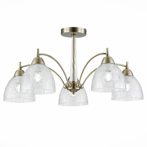 Потолочная люстра Evoluce Nuele SLE104402-05 Потолочная люстра Evoluce Nuele SLE104402-05