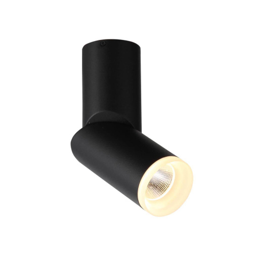 Светодиодный спот ST Luce Tortelle ST107.402.10 Светодиодный спот ST Luce Tortelle ST107.402.10