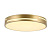 Потолочный светодиодный светильник F-Promo Pall 2745-2C