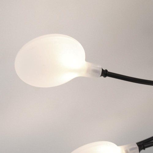 Потолочная люстра Arte Lamp Guimet A7423PL-28BK Потолочная люстра Arte Lamp Guimet A7423PL-28BK
