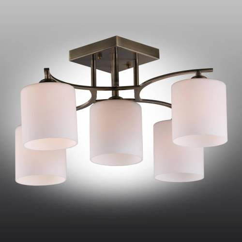 Потолочная люстра Omnilux Pisticci OML-55317-05 Потолочная люстра Omnilux Pisticci OML-55317-05