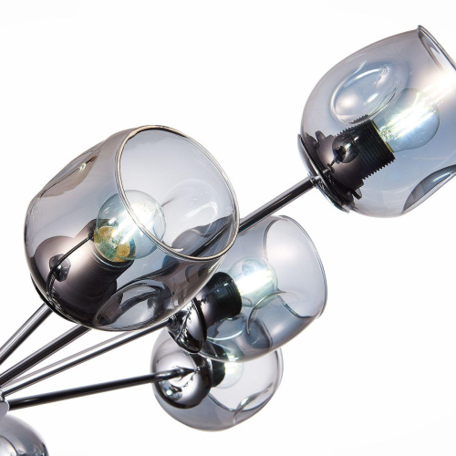 Потолочная люстра Evoluce Pallo SLE155402-10 Потолочная люстра Evoluce Pallo SLE155402-10