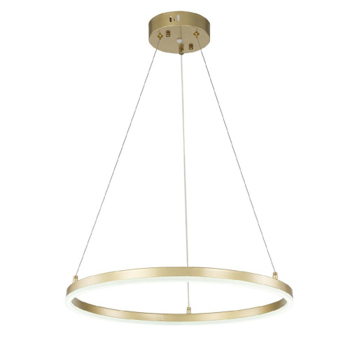 Подвесной светодиодный светильник Escada Void 10254/1LED Gold APP Подвесной светодиодный светильник Escada Void 10254/1LED Gold APP