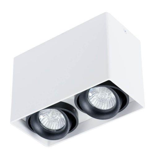 Потолочный светильник Arte Lamp A5655PL-2WH Потолочный светильник Arte Lamp A5655PL-2WH