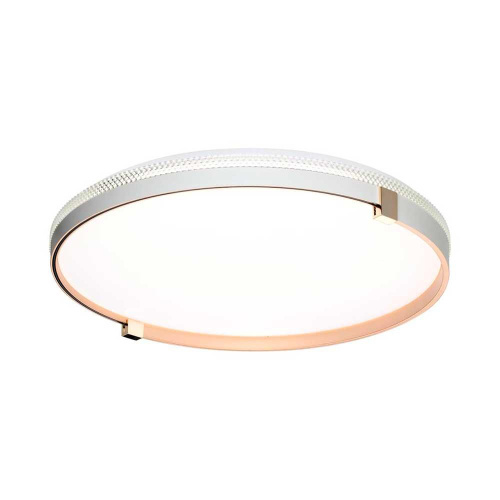 Настенно-потолочный светодиодный светильник Sonex Pale Olidi White 7646/DL Настенно-потолочный светодиодный светильник Sonex Pale Olidi White 7646/DL