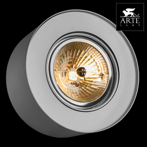 Потолочный светильник Arte Lamp Cliff A5643PL-1WH Потолочный светильник Arte Lamp Cliff A5643PL-1WH
