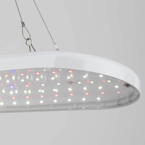 Светодиодный подвесной светильник для растений ЭРА Fito-25W-Qled-Fly Б0053062 Светодиодный подвесной светильник для растений ЭРА Fito-25W-Qled-Fly Б0053062