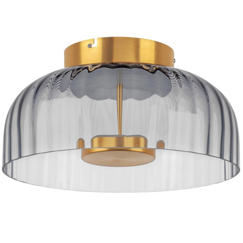 Потолочный светодиодный светильник Lightstar Celesta 809061 Потолочный светодиодный светильник Lightstar Celesta 809061