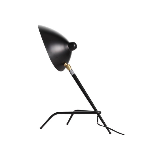 Настольная лампа ST Luce Spruzzo SL305.404.01 Настольная лампа ST Luce Spruzzo SL305.404.01