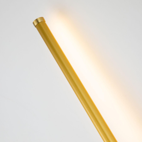 Настенный светодиодный светильник Favourite Reed 3001-2W Настенный светодиодный светильник Favourite Reed 3001-2W