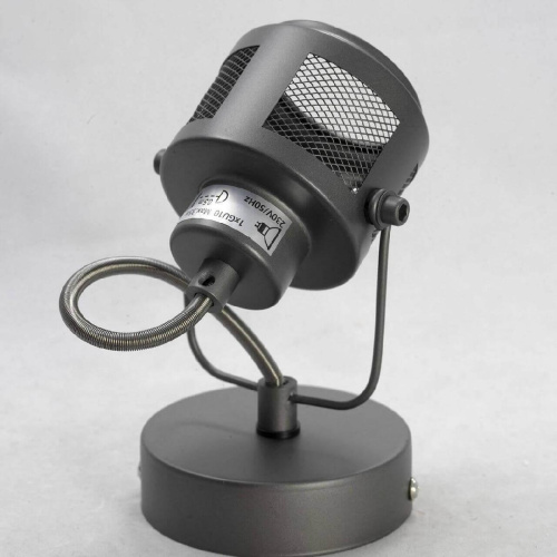 Спот Lussole Loft Haines LSP-8045 Спот Lussole Loft Haines LSP-8045