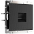 Розетка Ethernet RJ-45 cat. 6A экранированная (черный матовый) W5120108/ a069685