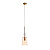 Подвесной светильник ST Luce Illuvio SL1147.903.01
