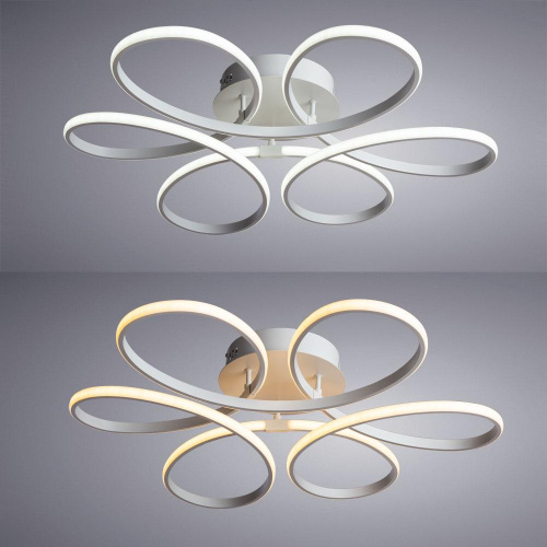 Потолочный светодиодный светильник Arte Lamp Diadema A2526PL-6WH Потолочный светодиодный светильник Arte Lamp Diadema A2526PL-6WH