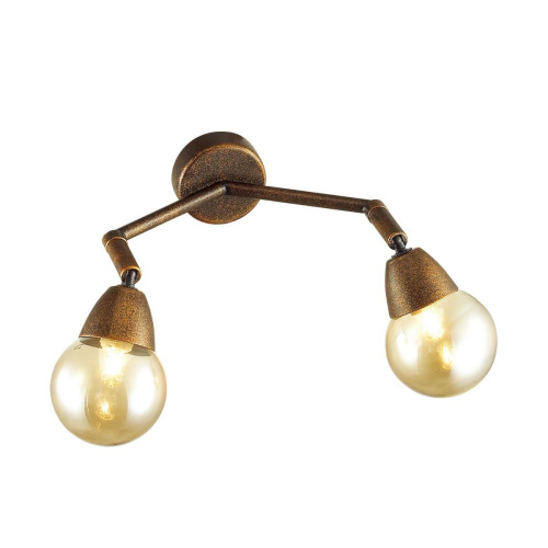 Спот Lumion Zianox 3596/2W Спот Lumion Zianox 3596/2W