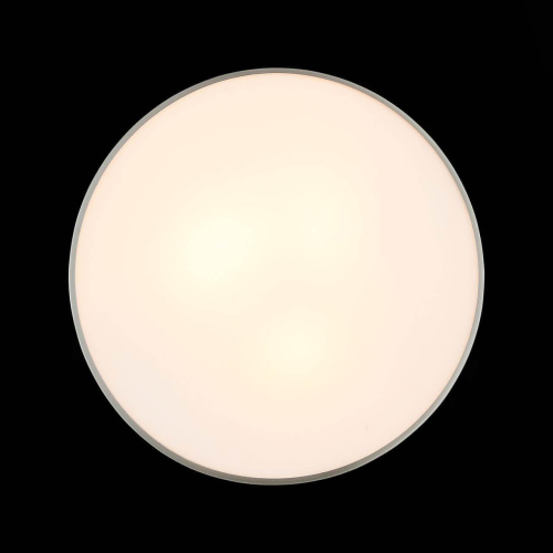 Потолочный светильник ST Luce Bagno SL468.502.03 Потолочный светильник ST Luce Bagno SL468.502.03