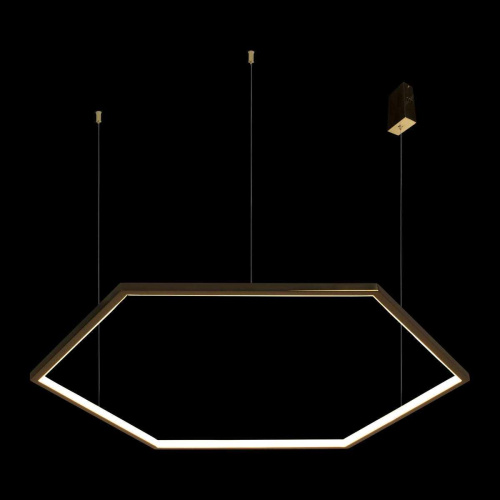 Подвесной светодиодный светильник Loft IT Ring 10016XL Подвесной светодиодный светильник Loft IT Ring 10016XL