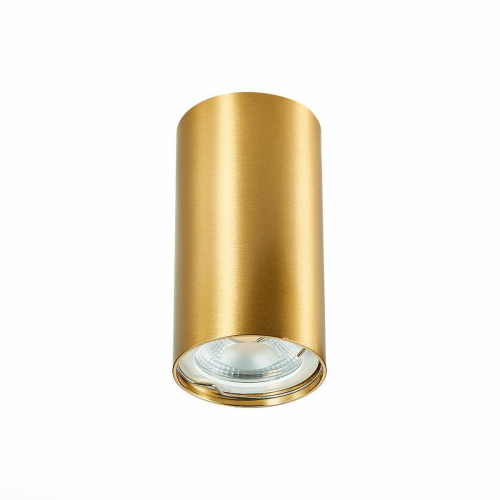 Потолочный светильник ST Luce ST110.207.01 Потолочный светильник ST Luce ST110.207.01