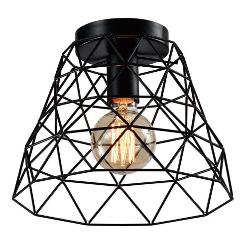 Потолочный светильник Rivoli Molly 5091-201 Б0053049 Потолочный светильник Rivoli Molly 5091-201 Б0053049